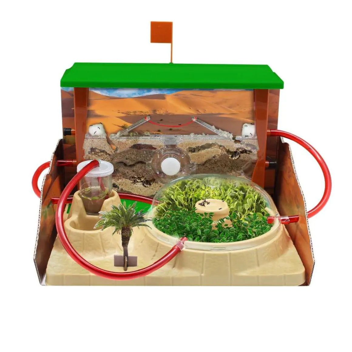 Cefa - Hormicefa Plus