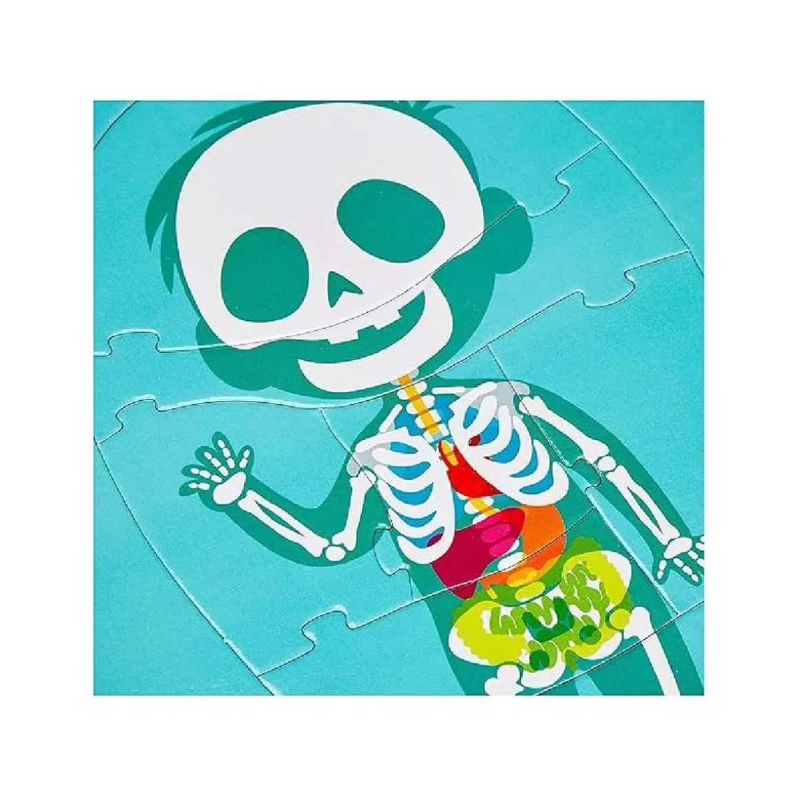 Clementoni - El Cuerpo Humano