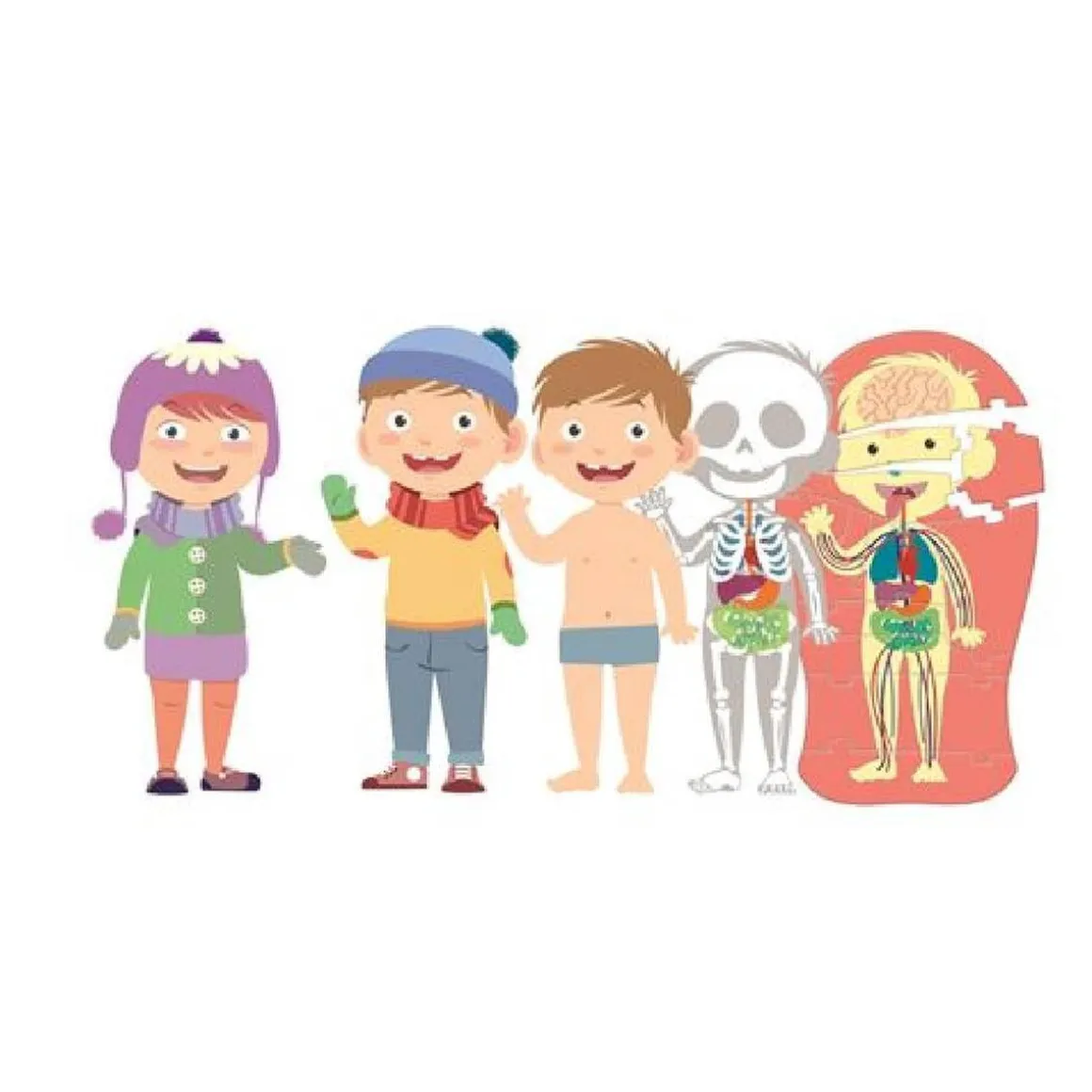 Clementoni - El Cuerpo Humano