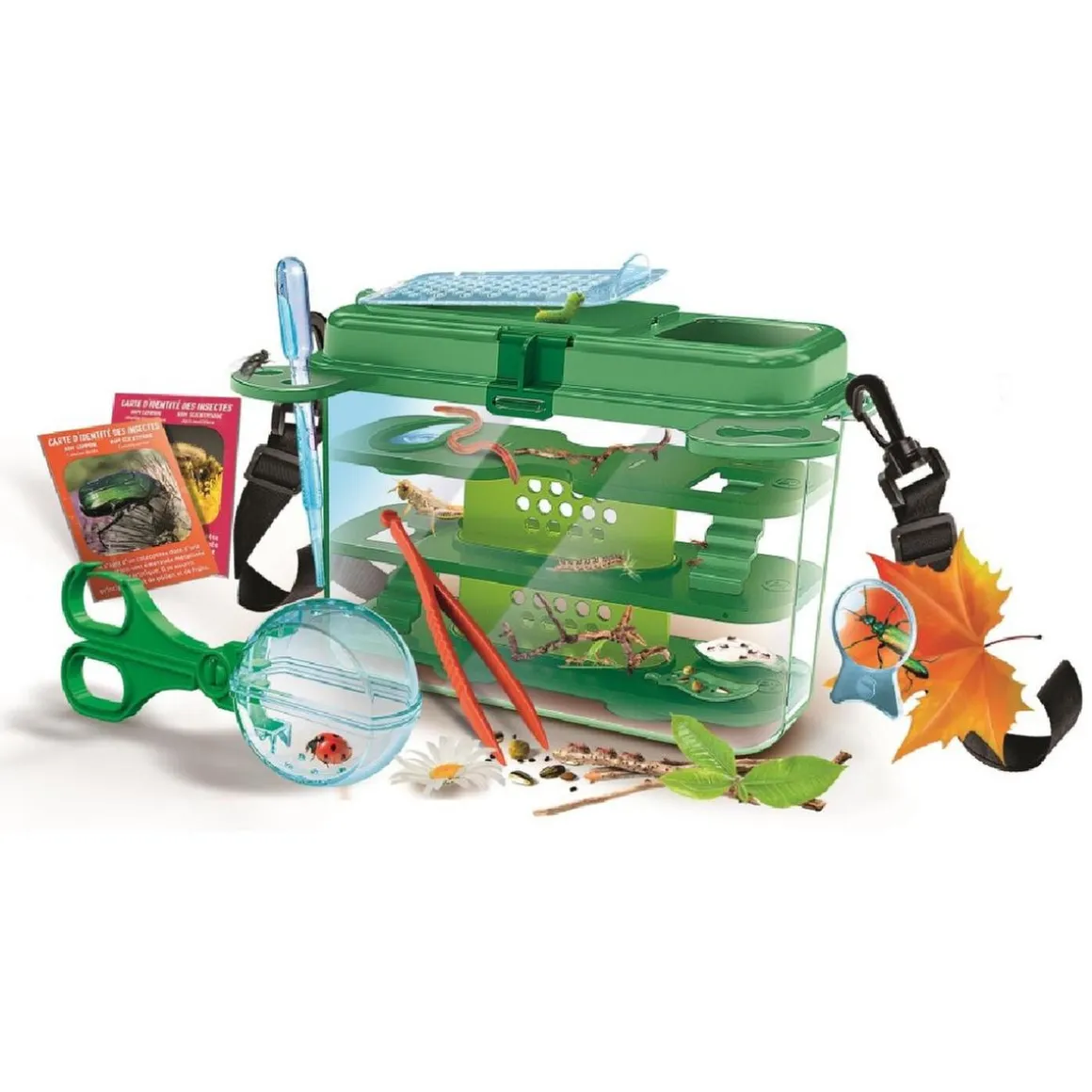 Clementoni - La Casa de los Insectos