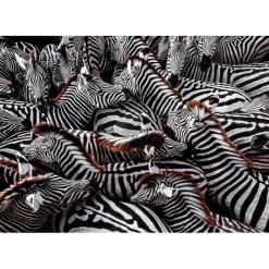 Clementoni - Rompecabezas Paisajes National Geographic 1000 piezas ㅤ