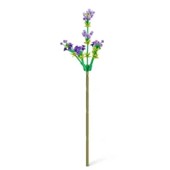 MAX - Cápsula con Rosa y Lavanda