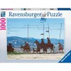 Ravensburger - Camino de Santiago - Puzzle 1000 piezas