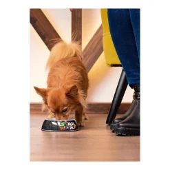 Star Wars - Comedero para perros tamaño S