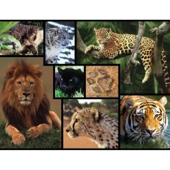WWF - Felinos salvajes - Puzzle 1000 piezas