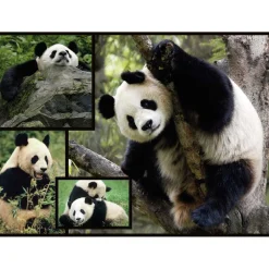 WWF - Pandas - Puzzle 1000 piezas